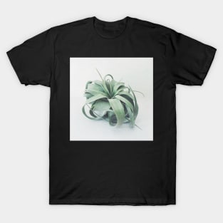 Air Plant III T-Shirt